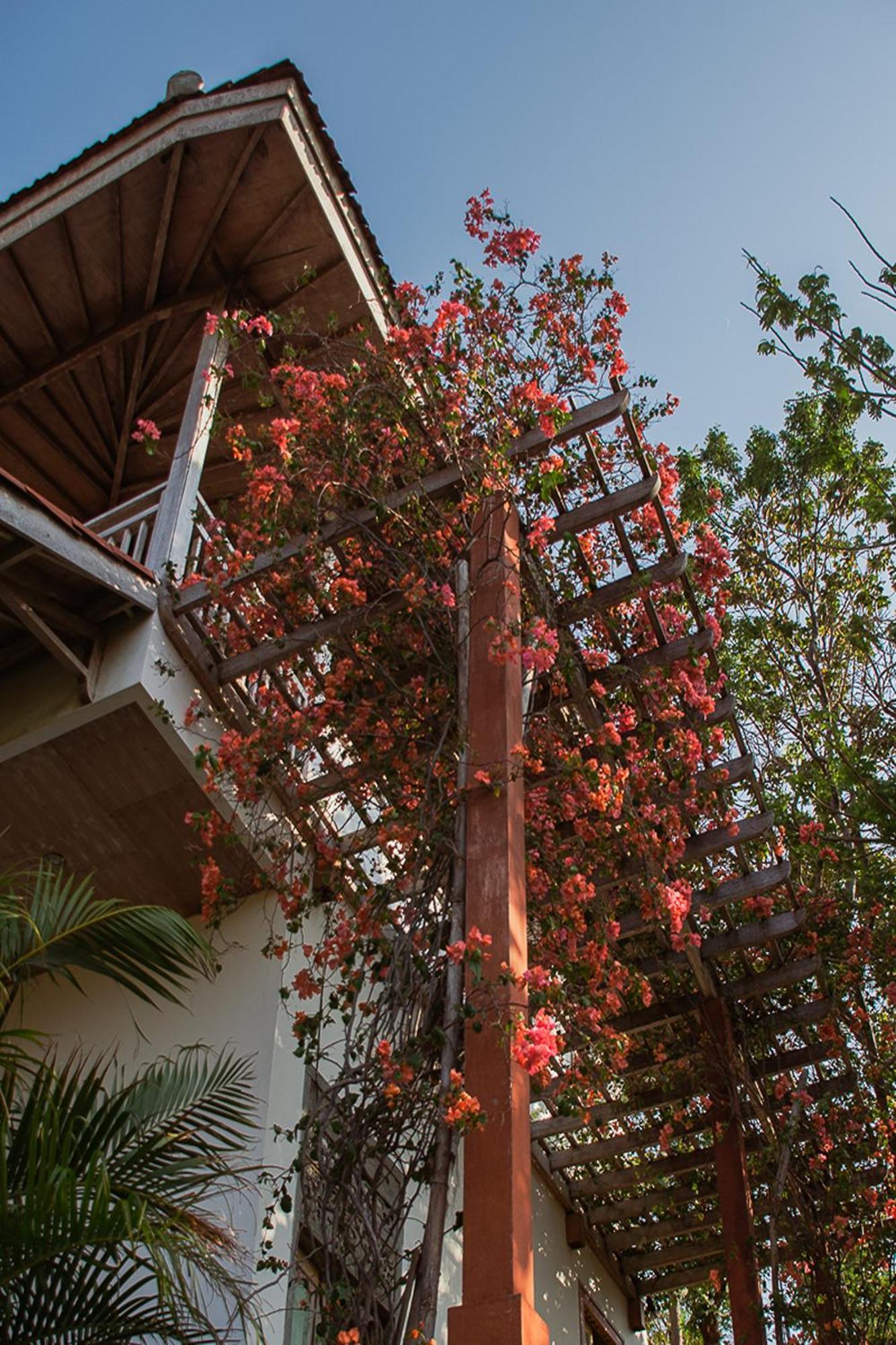 Hotel Bangsring Breeze Banyuwangi  Exterior foto
